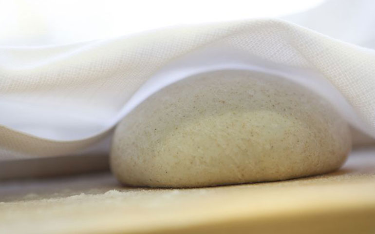 pane lievitazione